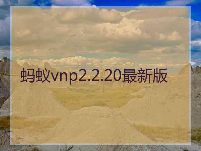 蚂蚁vnp2.2.20最新版