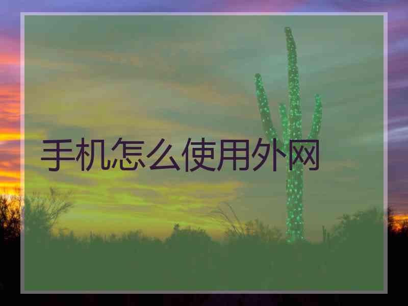 手机怎么使用外网