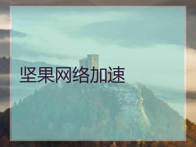 坚果网络加速