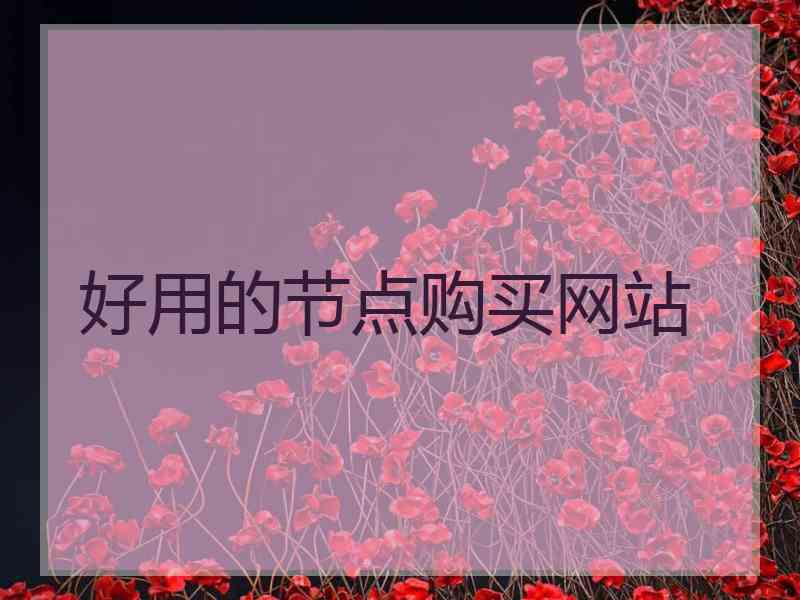 好用的节点购买网站