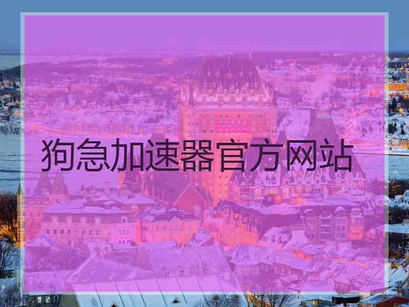 狗急加速器官方网站