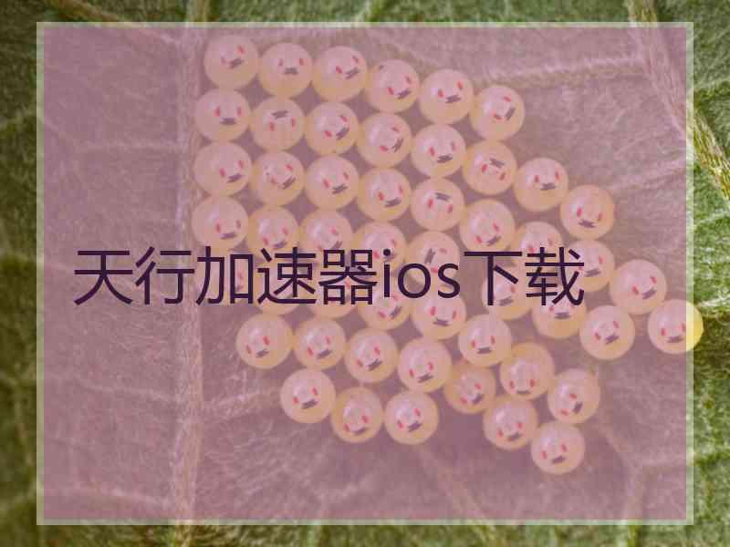 天行加速器ios下载