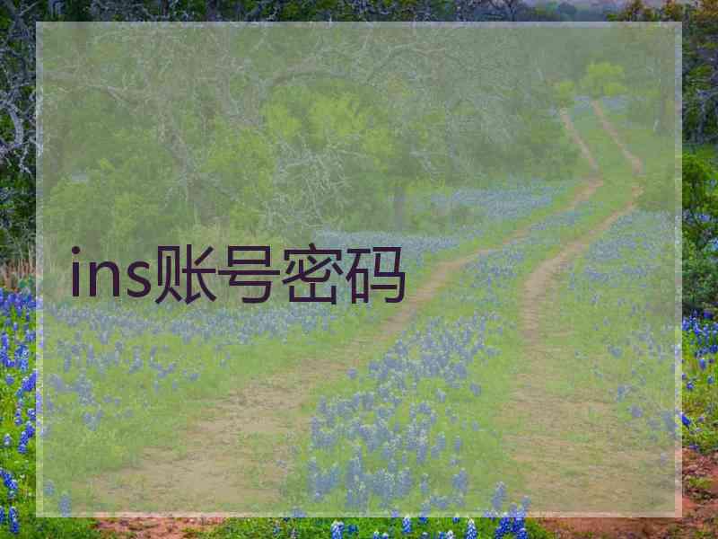 ins账号密码