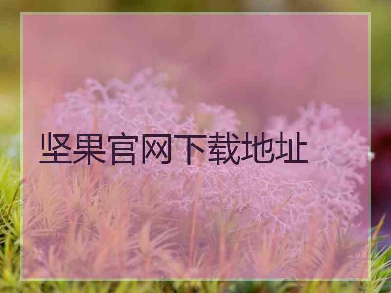 坚果官网下载地址