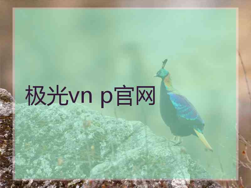 极光vn p官网