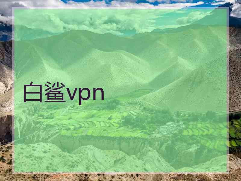 白鲨vpn