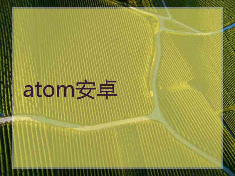 atom安卓