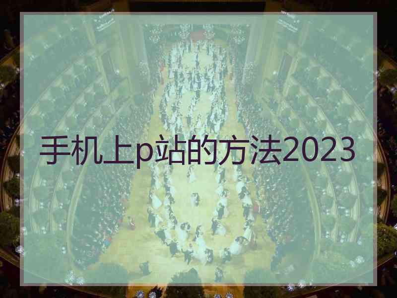 手机上p站的方法2023