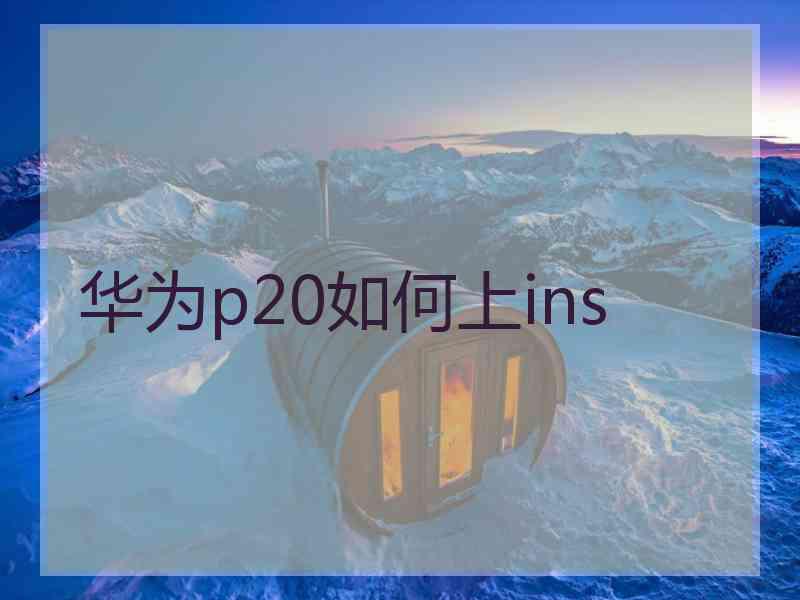 华为p20如何上ins