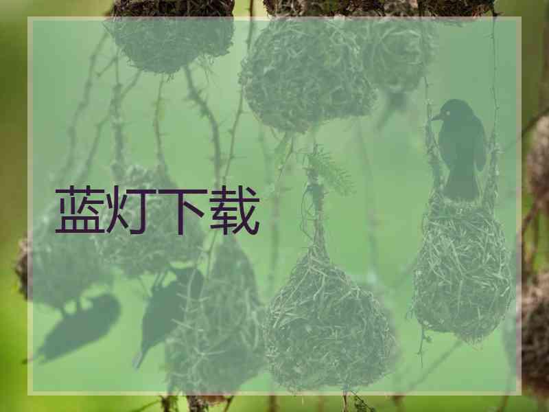 蓝灯下载