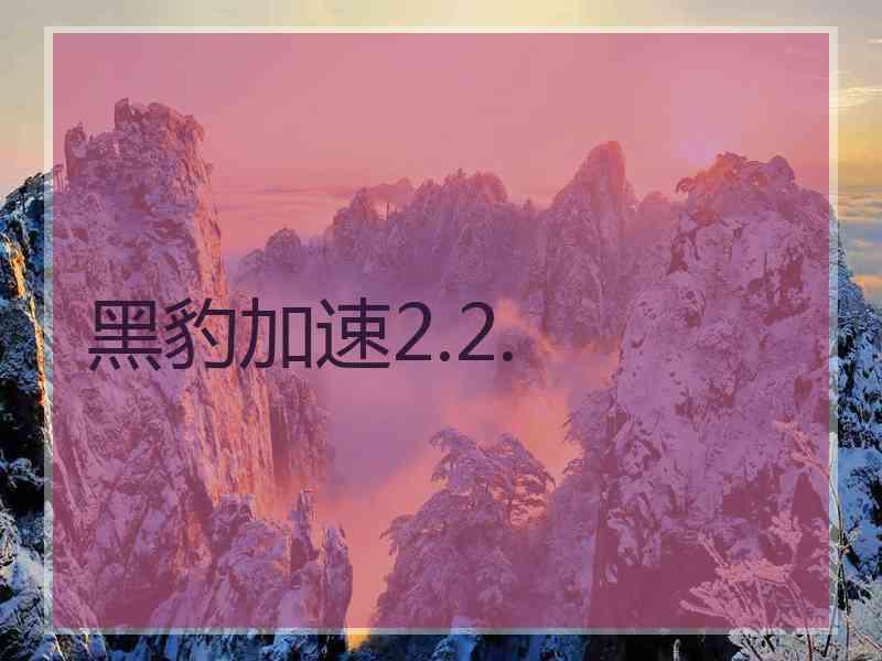 黑豹加速2.2.