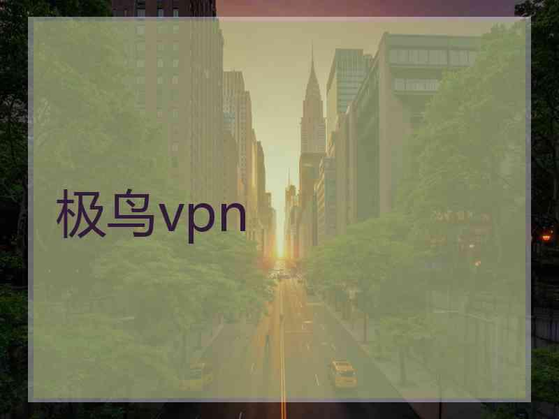 极鸟vpn
