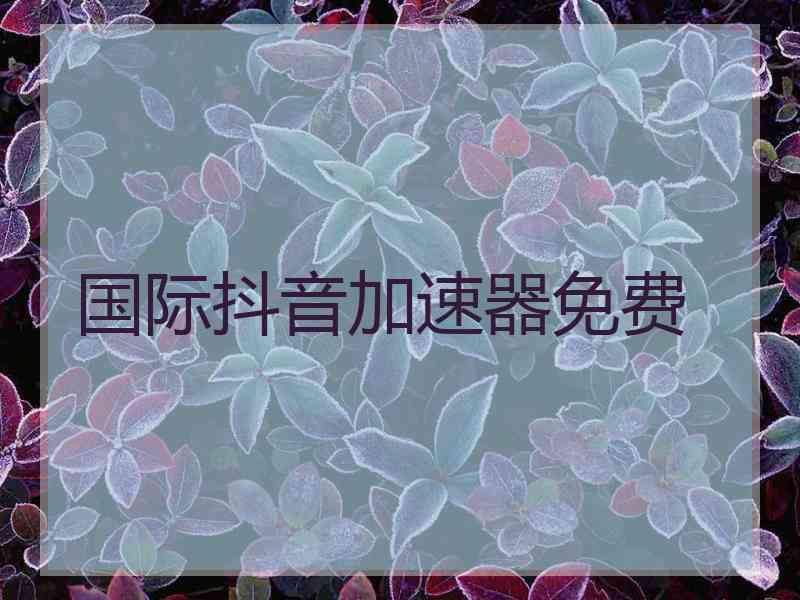 国际抖音加速器免费