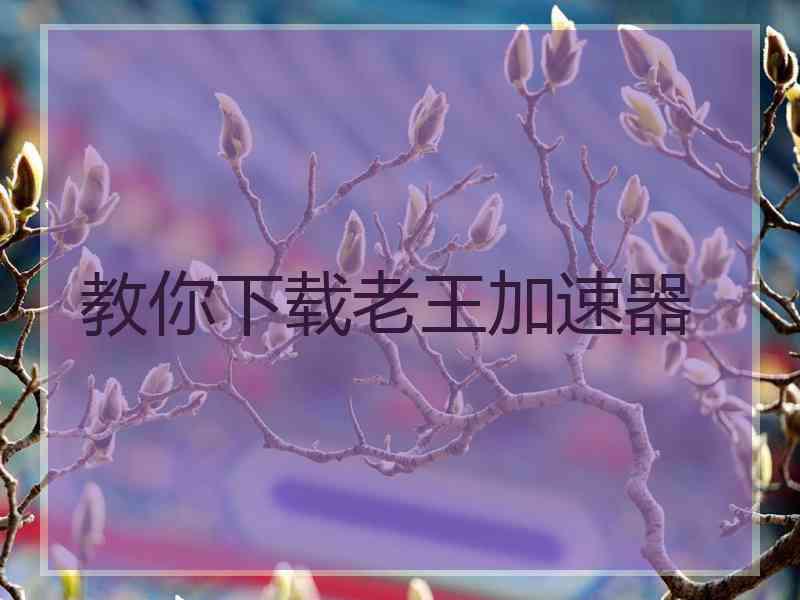 教你下载老王加速器