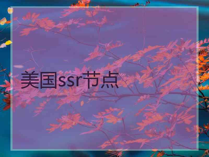 美国ssr节点