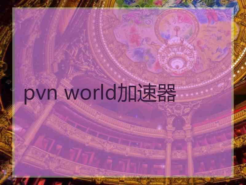 pvn world加速器