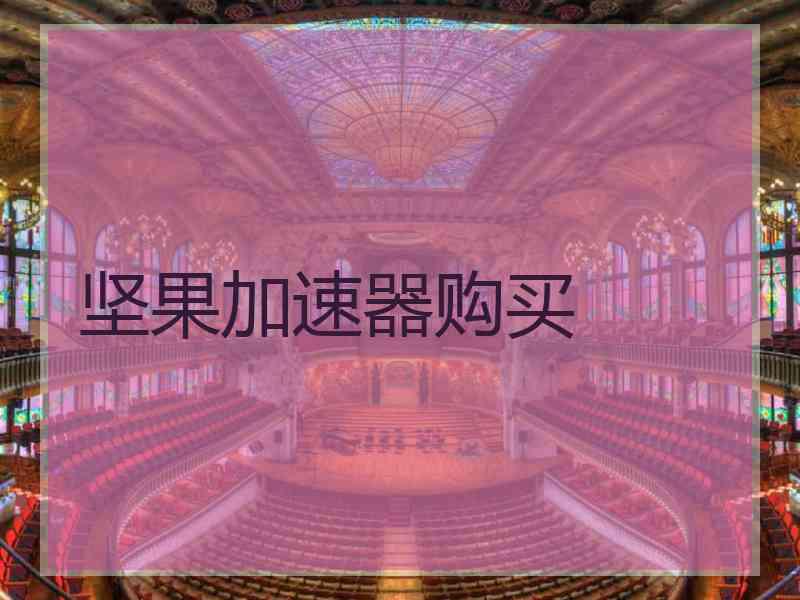 坚果加速器购买