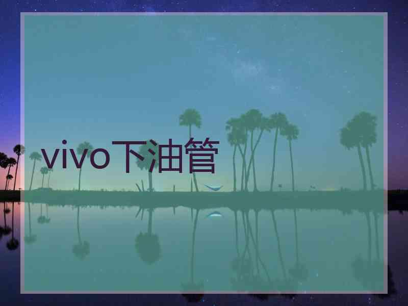 vivo下油管