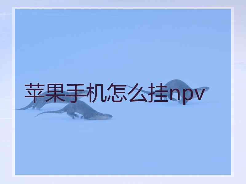 苹果手机怎么挂npv