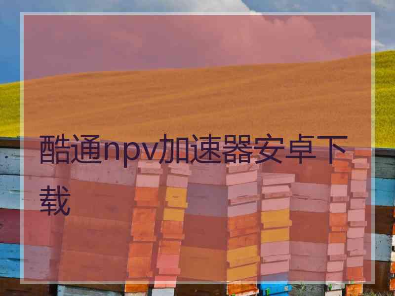 酷通npv加速器安卓下载