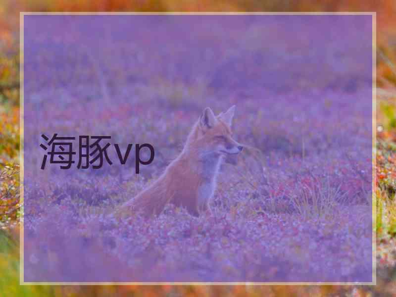 海豚vp