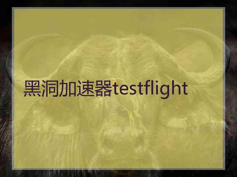 黑洞加速器testflight