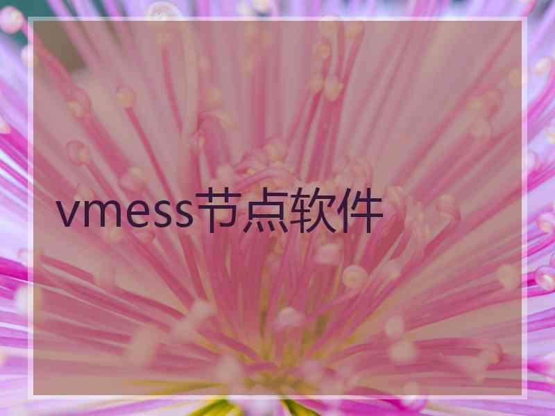 vmess节点软件