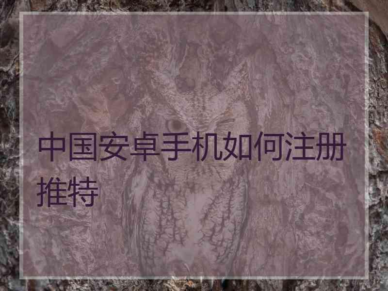 中国安卓手机如何注册推特