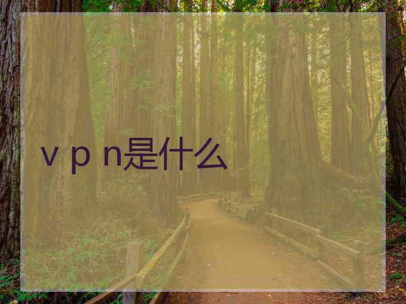 v p n是什么