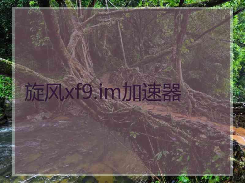 旋风xf9.im加速器