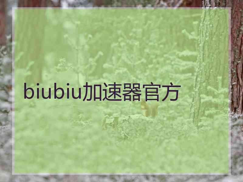 biubiu加速器官方