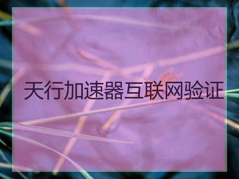天行加速器互联网验证