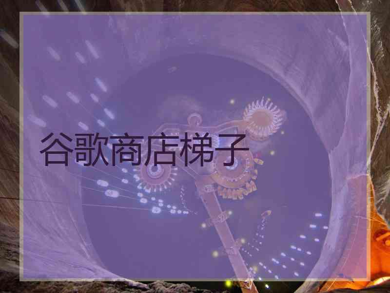 谷歌商店梯子