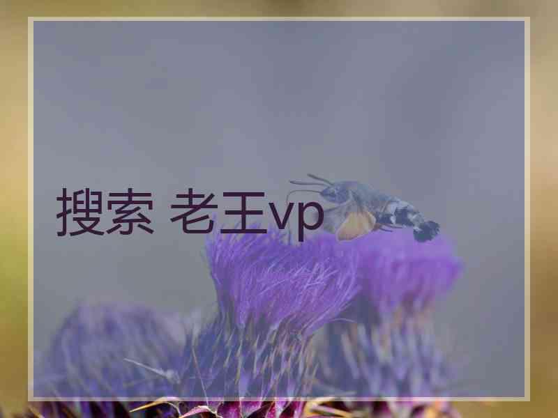 搜索 老王vp