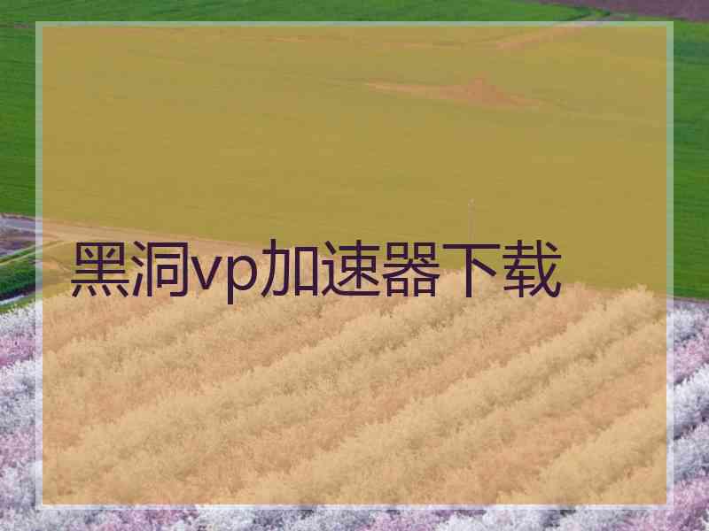黑洞vp加速器下载