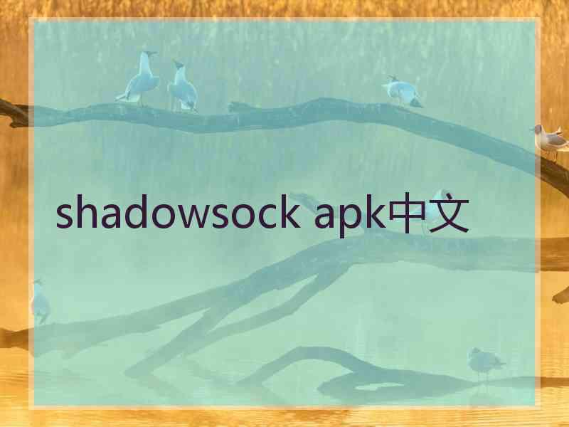 shadowsock apk中文