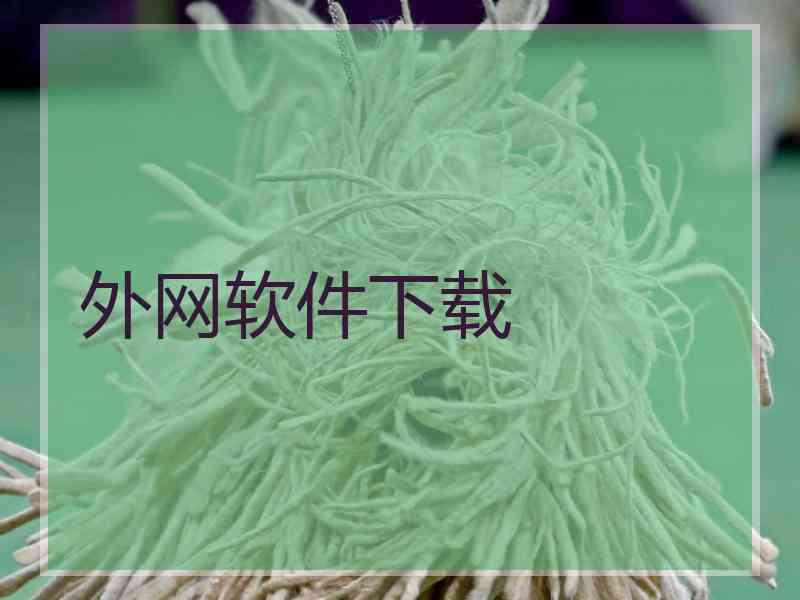 外网软件下载
