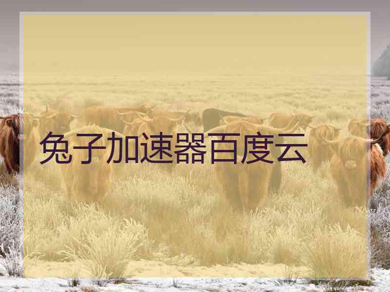 兔子加速器百度云