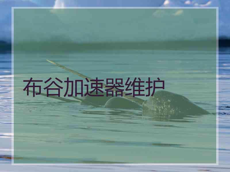 布谷加速器维护
