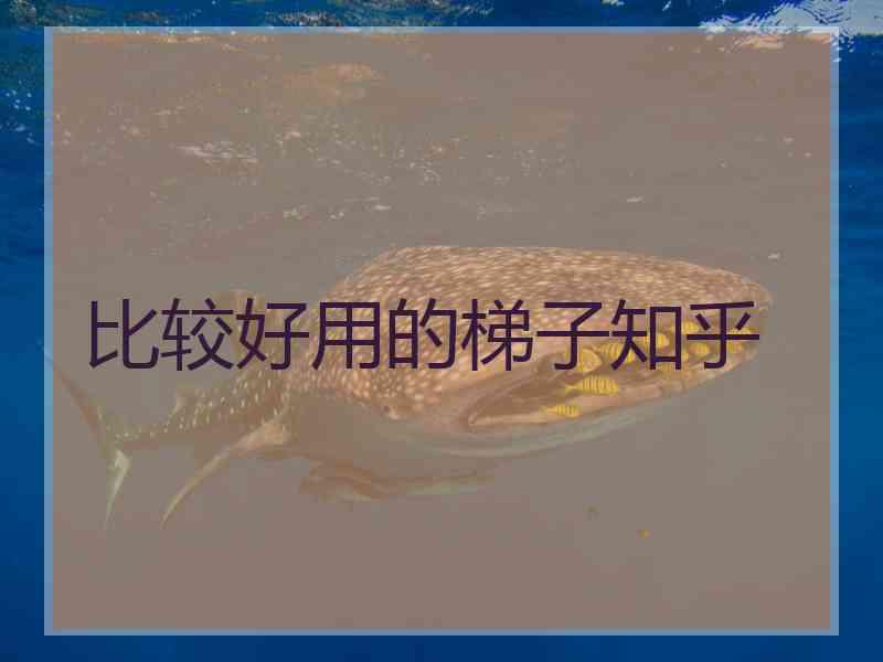 比较好用的梯子知乎
