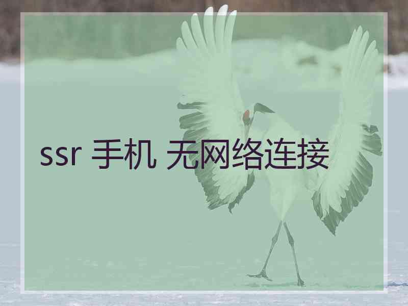 ssr 手机 无网络连接