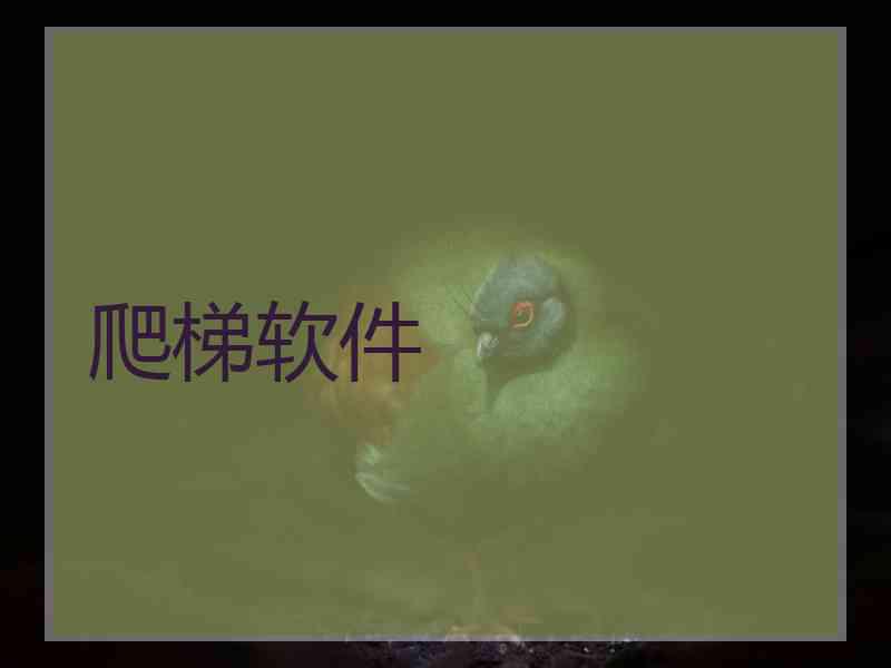爬梯软件