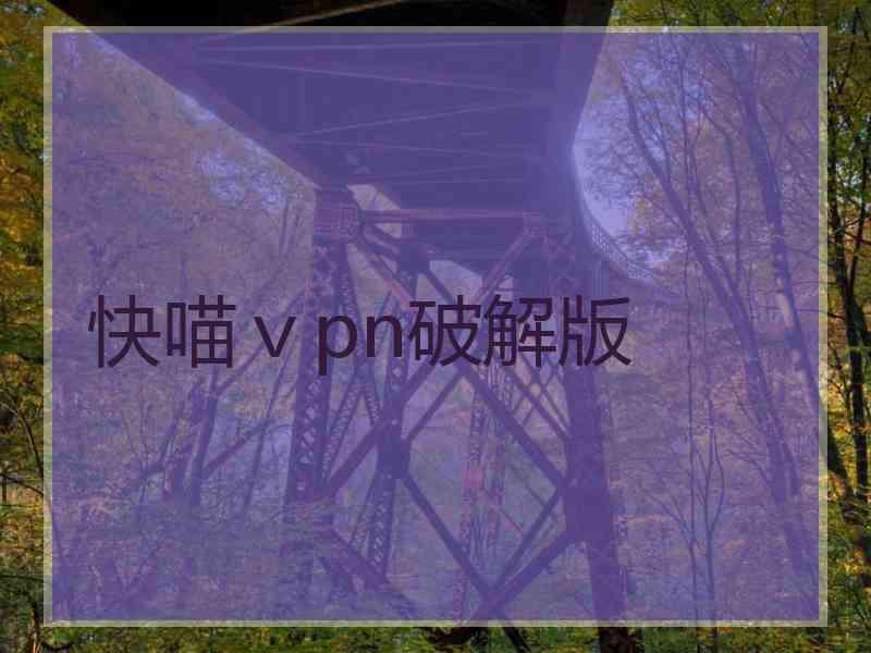 快喵ⅴpn破解版