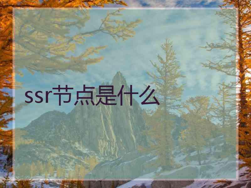 ssr节点是什么