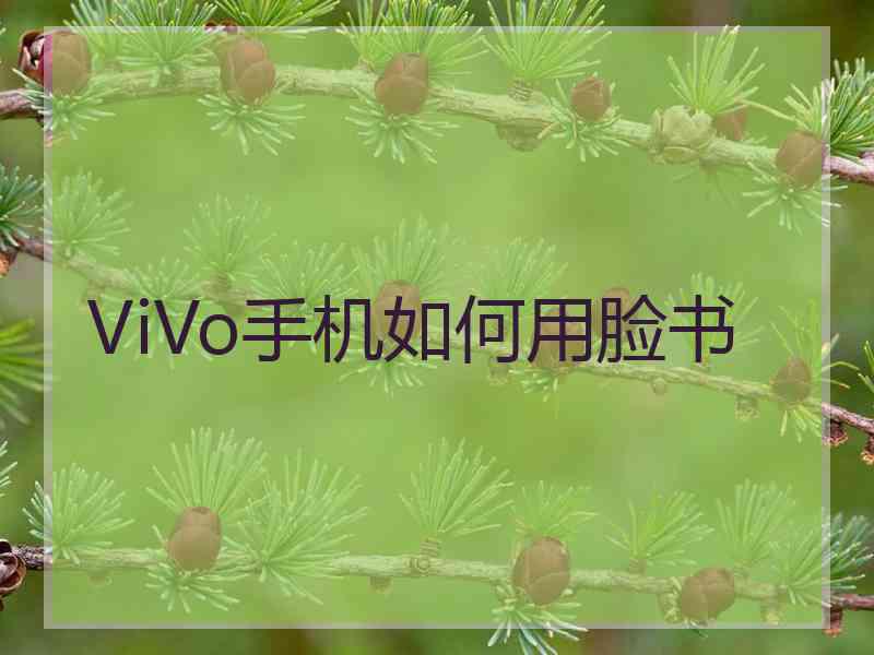 ViVo手机如何用脸书