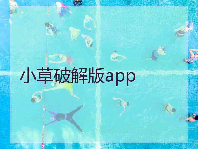 小草破解版app