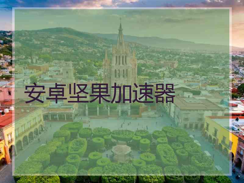 安卓坚果加速器