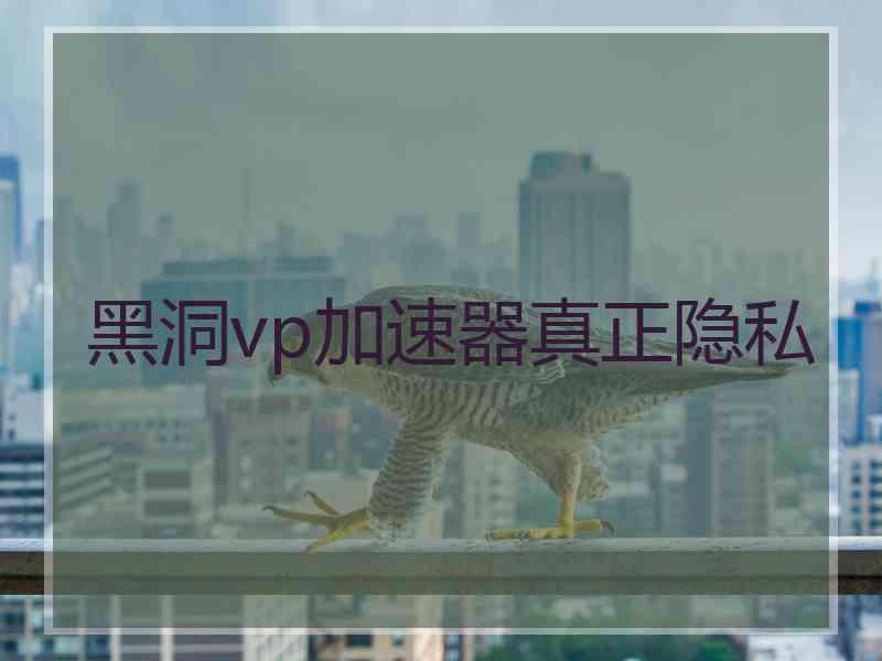 黑洞vp加速器真正隐私
