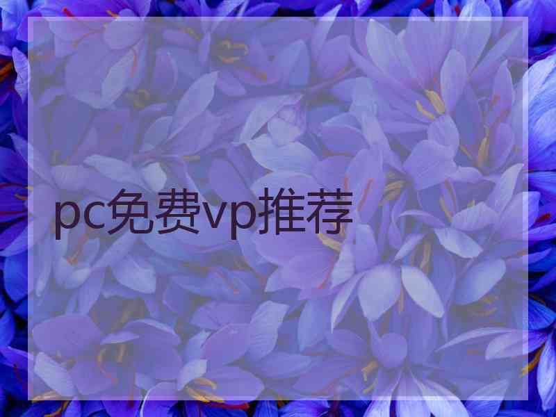 pc免费vp推荐