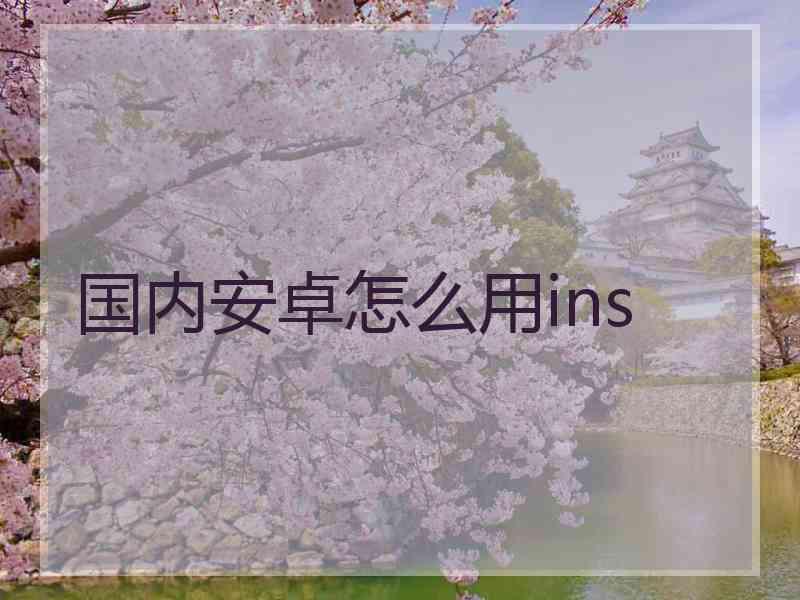 国内安卓怎么用ins